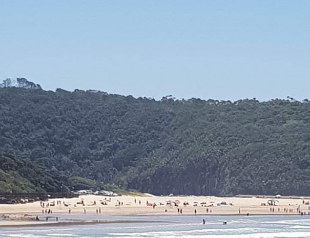 IMG-20200825-WA0002